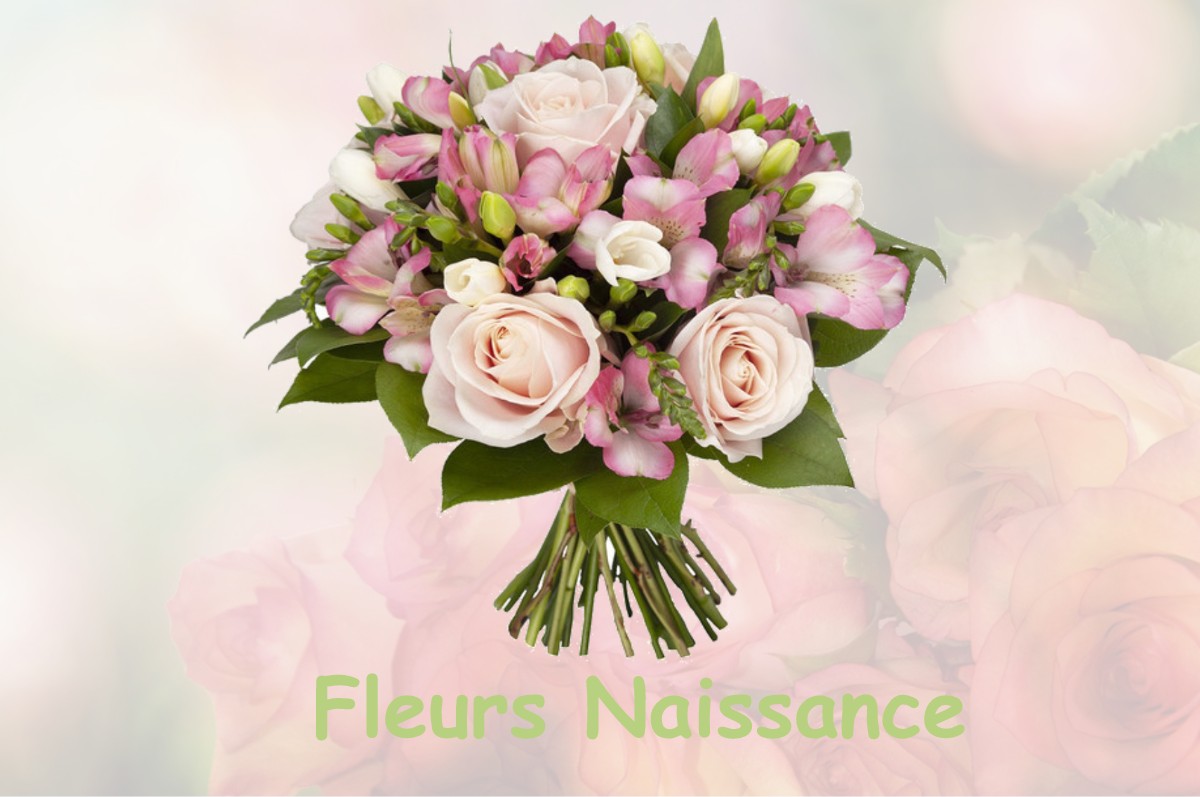 fleurs naissance COGNIN-LES-GORGES