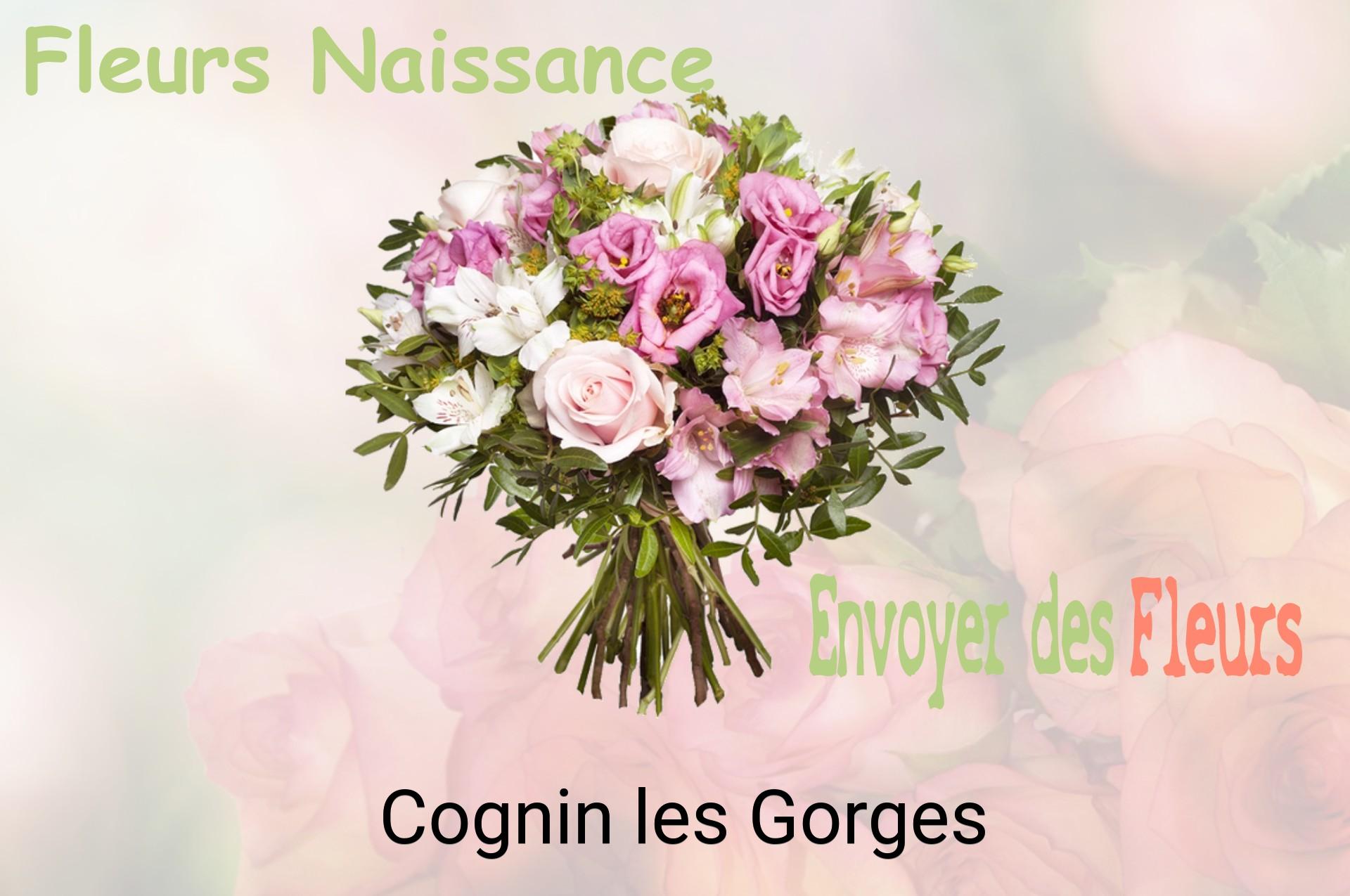 Bouquet de fleurs de naissance livré à Cognin-les-Gorges