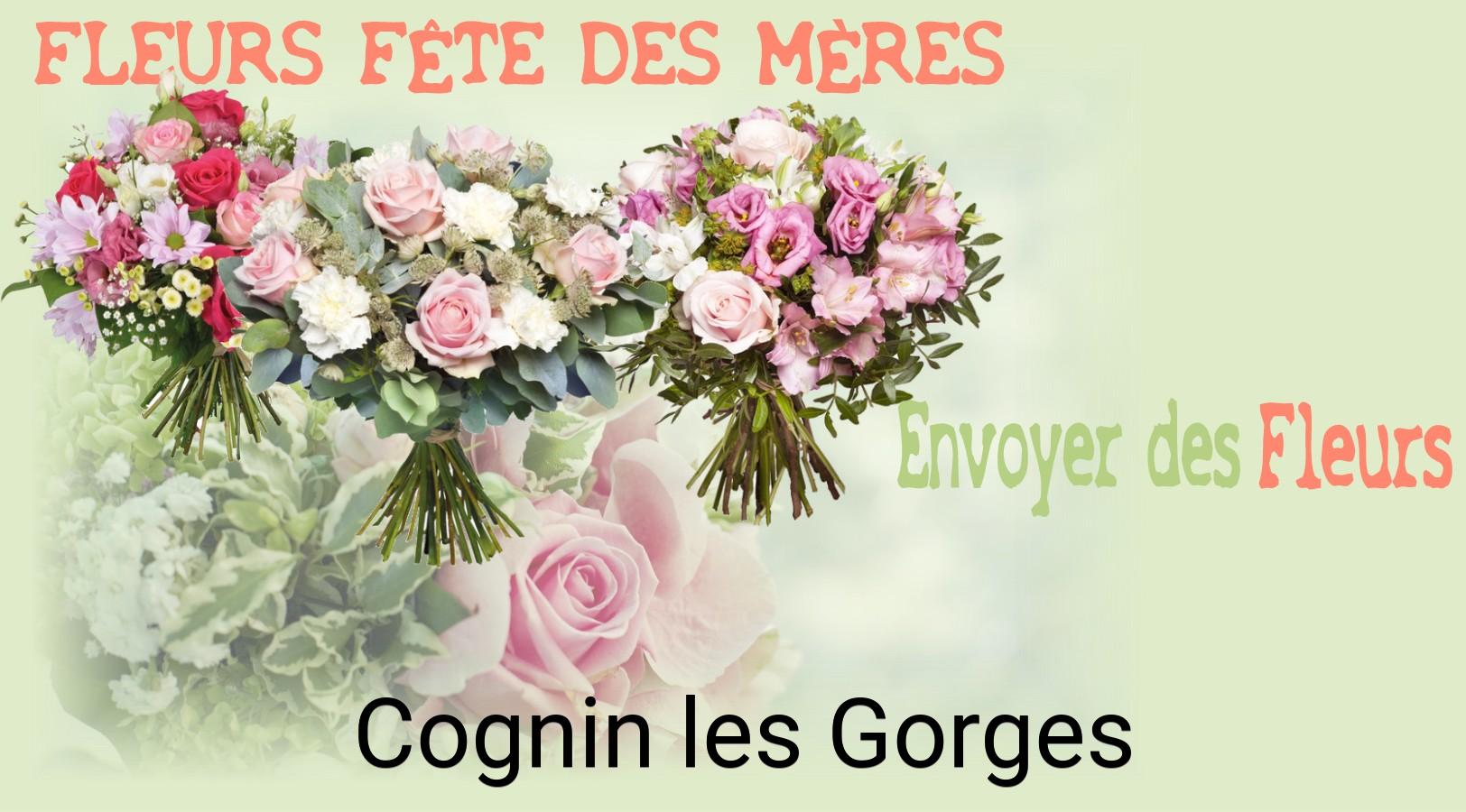 Bouquet de Fête des Mères livré à Cognin-les-Gorges