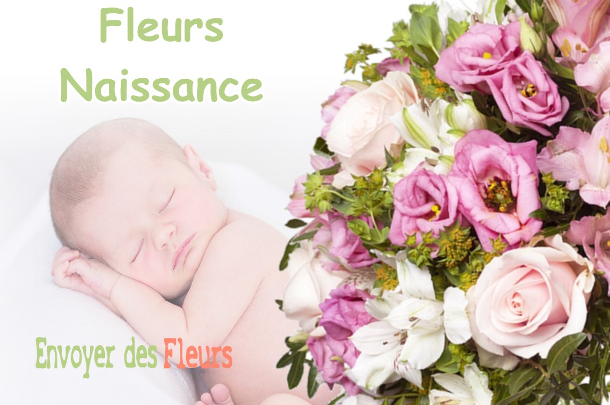 lIVRAISON FLEURS NAISSANCE à COGNIN-LES-GORGES